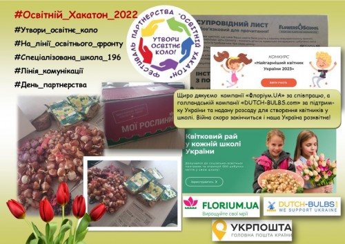 квіти